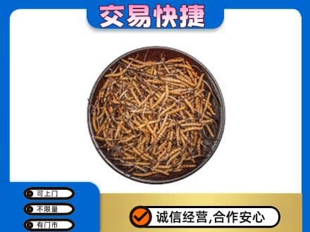 汉中高价回收散虫草